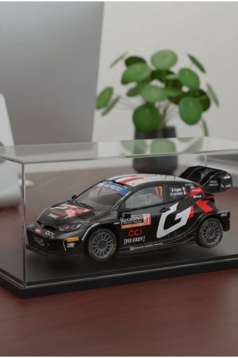 Scale model 1:18 WRC Monte-Carlo - 1 (2)