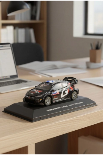 Scale model 1:43 WRC Rally Sweden - 1 (2)